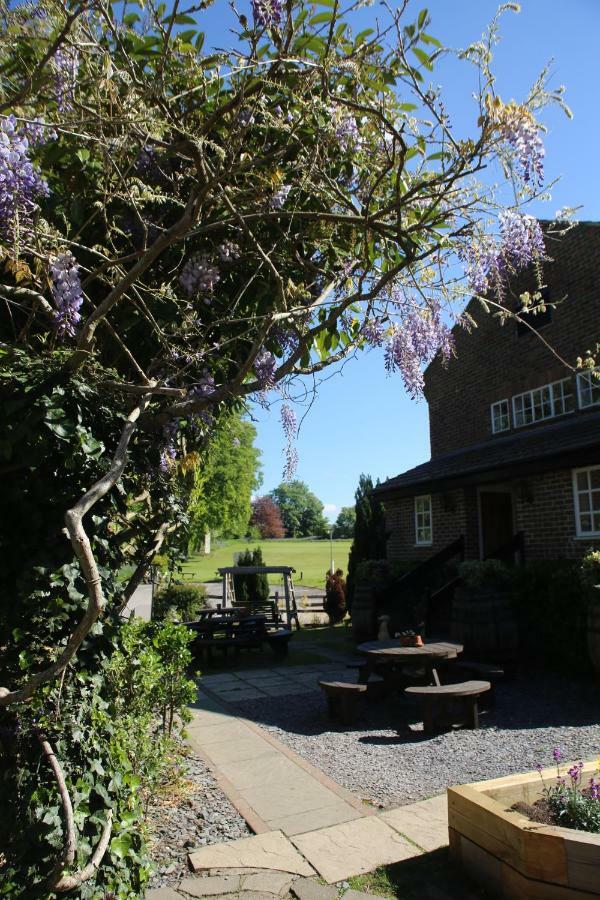 The Red Lion & Cellar Room, Betchworth Εξωτερικό φωτογραφία